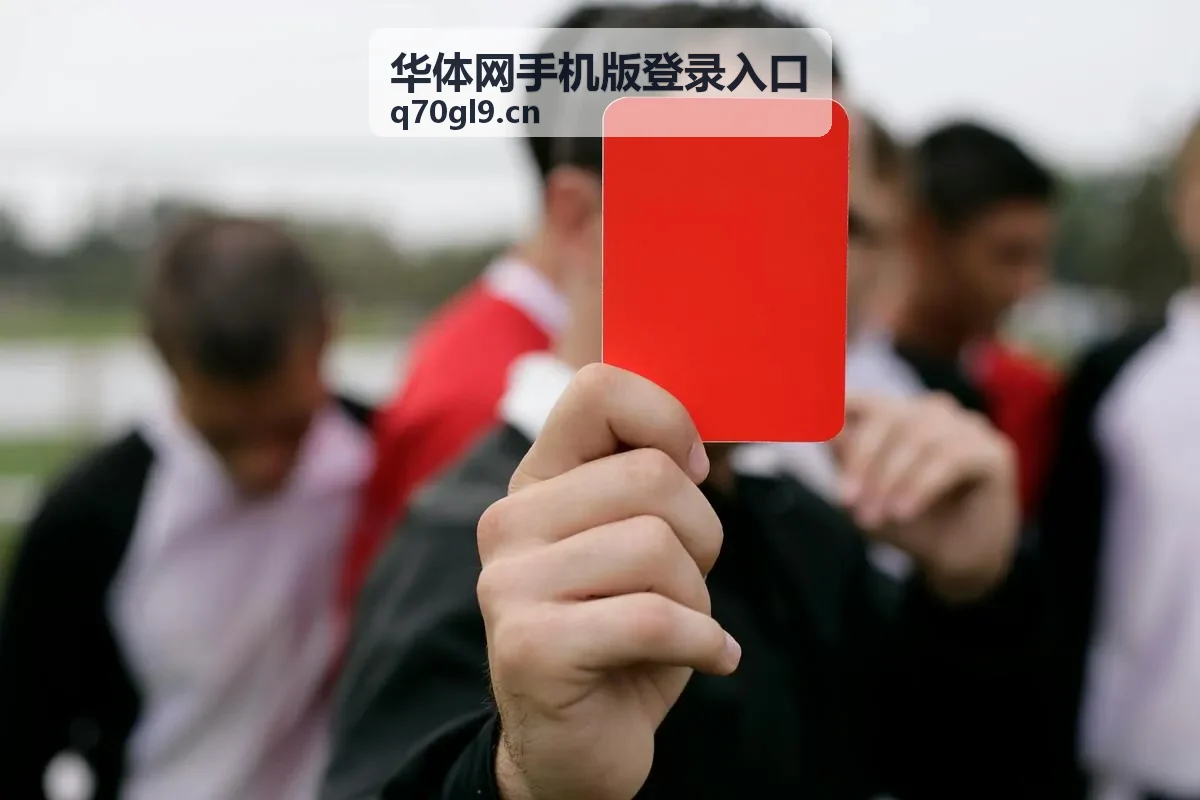 华体网手机版登录入口登录异常时在手机上按指引排查的画面