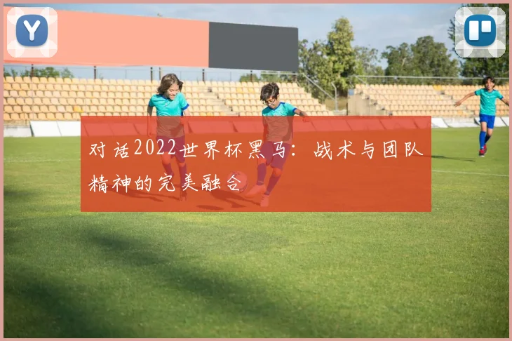 对话2022世界杯黑马：战术与团队精神的完美融合