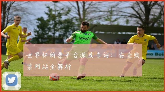 世界杯购票平台深度专访：安全购票网站全解析
